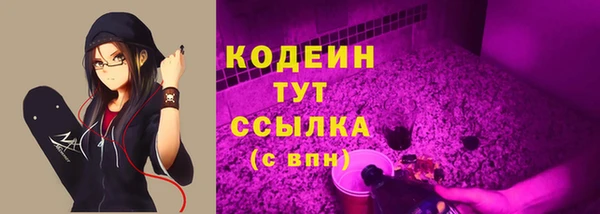 сатива Арсеньев