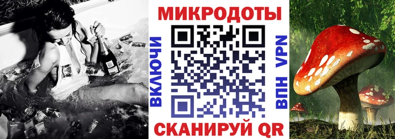 blacksprut ONION  магазин продажи наркотиков  Микунь  Псилоцибиновые грибы мицелий 